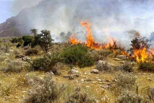 هشدار منابع طبیعی در خصوص آتش‌سوزی عرصه‌های کردستان