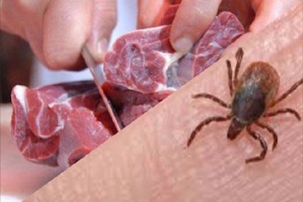 شهروندان از خرید گوشت فاقد تائیدیه دامپزشکی در کردستان خودداری کنند