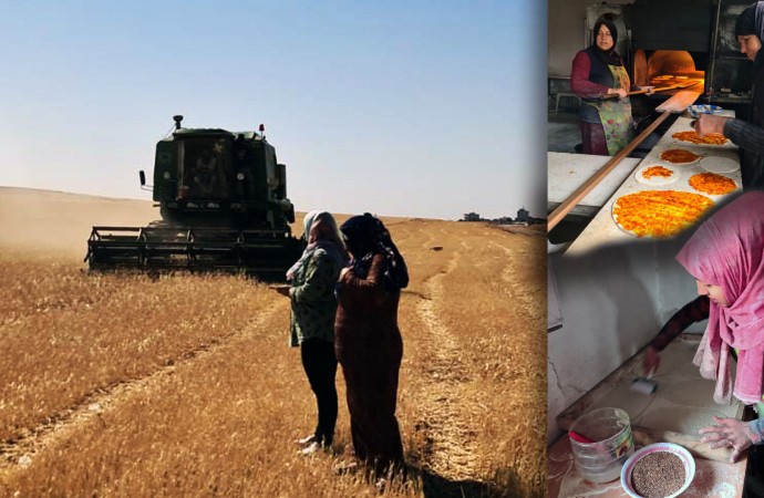 گزارشی از نهادهای همیاری زنانه در کردستان سوریه پس از جنگ