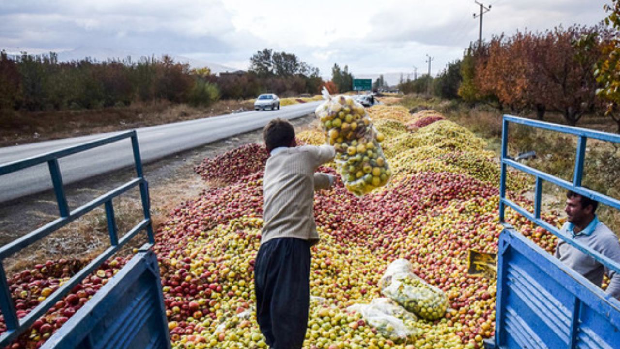 پیش بینی کردپرس درست بود؛ عاقبت سیب صادراتی  آذربایجان غربی   کنسانتره شد