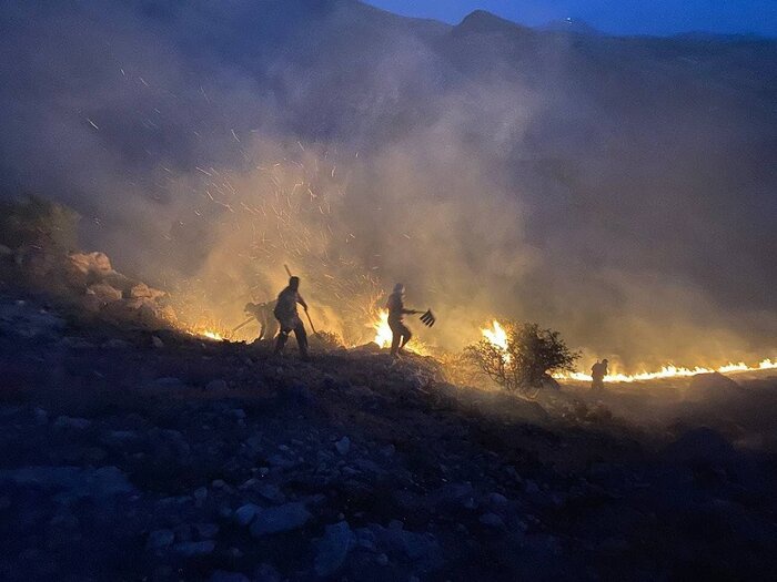 آتش‌سوزی منطقه حفاظت شده بیجار مهار شد