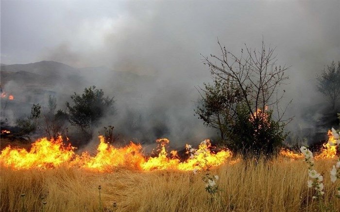 ۵۰ هکتار از مزارع ایوان در آتش سوخت