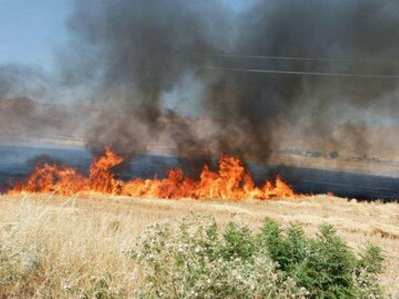 زمین های کشاورزی گیلانغرب در آتش می سوزد