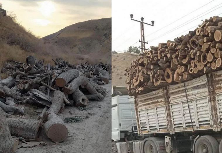 تخریب منابع طبیعی اقلیم کردستان توسط ارتش ترکیه