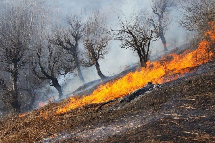 افزایش آتش سوزی در جنگل های آذربایجان غربی/ تجهیزات اطفای حریق ارتقا می یابد