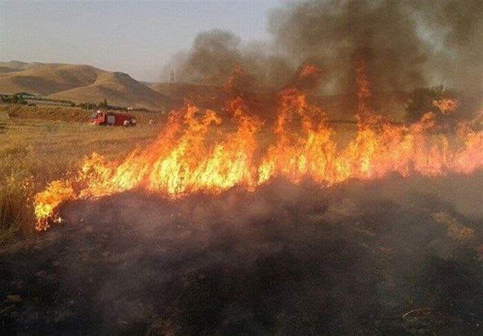 آتش سوزی گسترده در مزارع کشاورزی در اسلام آباد و دالاهو