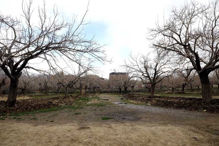 اعلام آمادگی شهرداری ارومیه برای تبدیل قبرستان متروکه الواج به فضای سبز