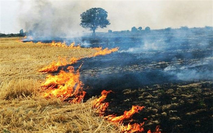 کشاورزان بقایای محصولات را آتش نزنند/متخلفین تحت پیگرد خواهند بود