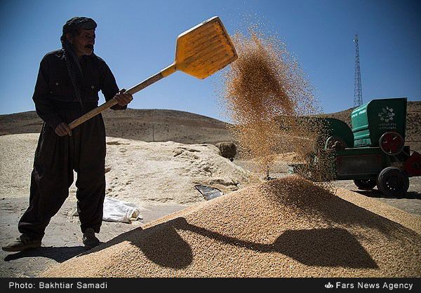 26 میلیارد تومان زکات توسط کردستانی ها پرداخت شد