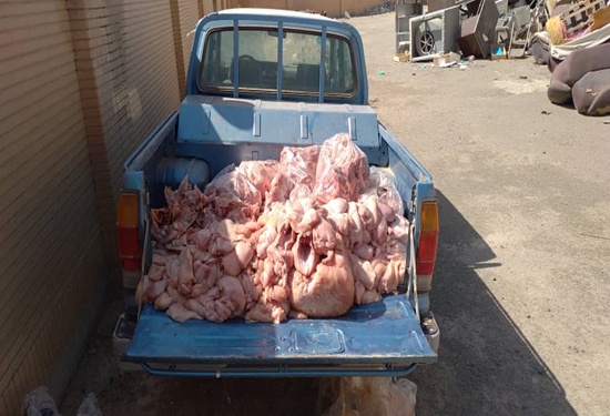 کشف 231 کیلوگرم مرغ قطعه شده غیر قابل مصرف در کارگاه غیر مجاز