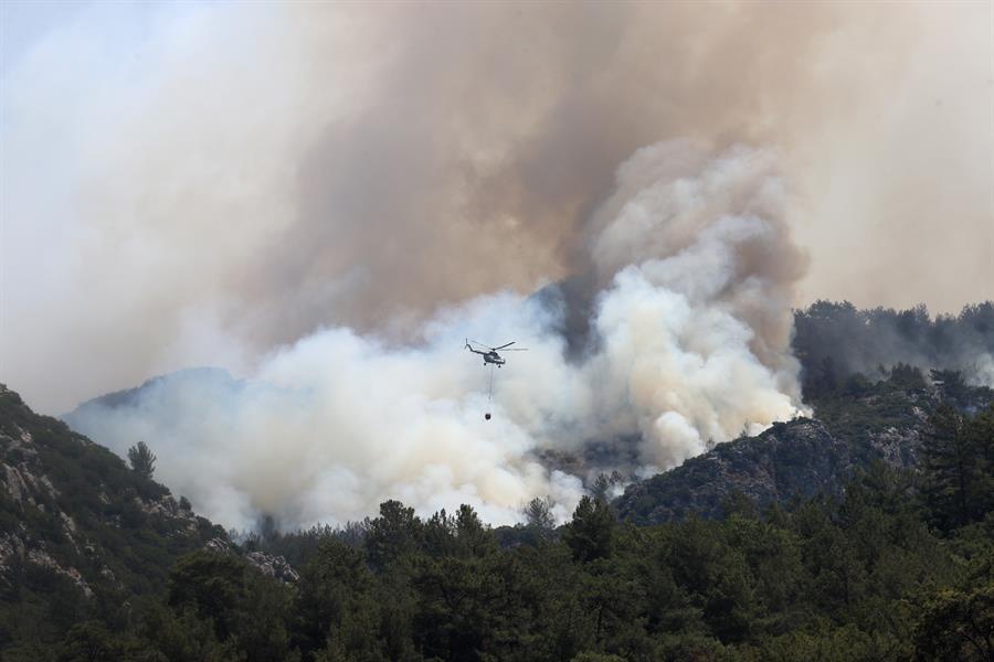 دو کودک 10 ساله عامل ایجاد آتش سوزی جنگل های مارماریس