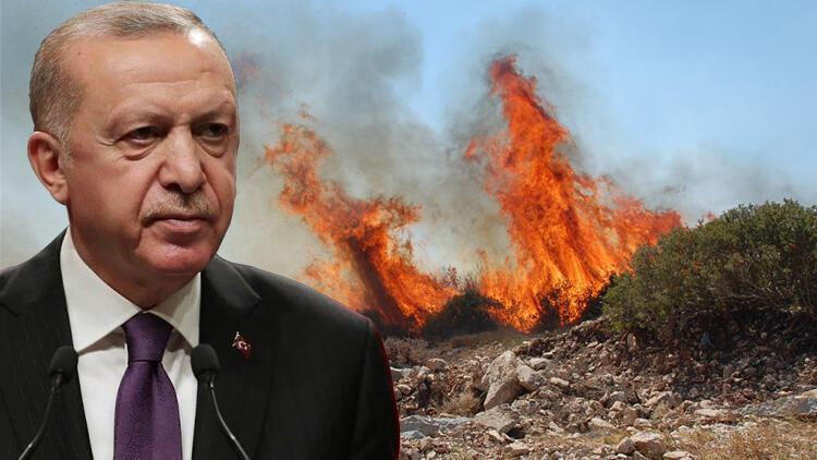 حکومت ترکیه آتش را به حال خود رها کرده است