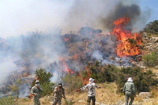 ١٠ پرونده در راستای آتش سوزی جنگل های سردشت تهیه شد