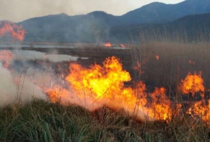 آتش‌سوزی نیزارهای دریاچه زریبار مریوان مهار شد