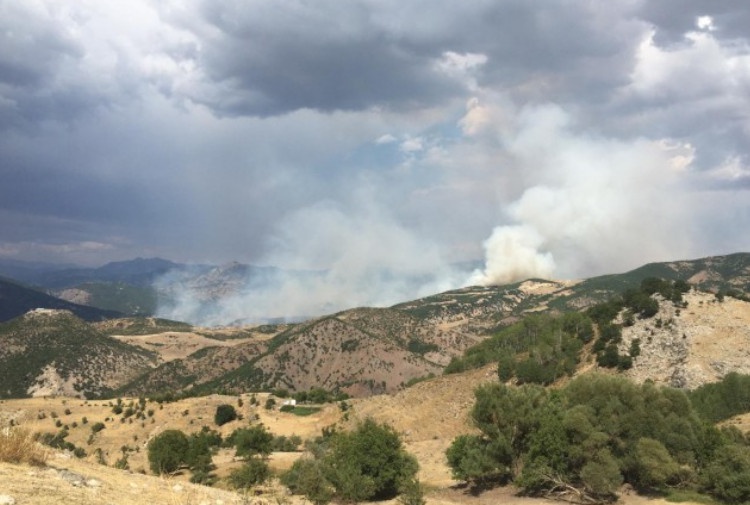 عملیات نظامی موجب آتش سوزی در جنگل های استان درسیم شد