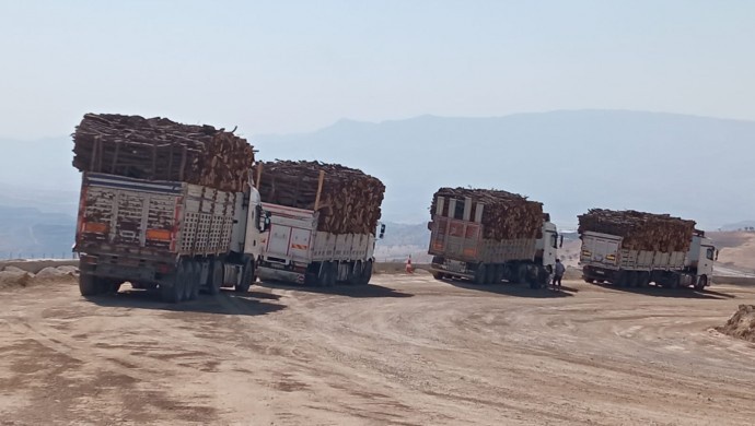 تار و مار درختان منطقه کردنشین شرناخ؛ فروش 150 تن چوب منطقه توسط ارتش ترکیه
