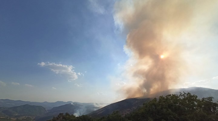 آتش سوزی جنگل های استان کردنشین درسیم 12 روز است بدون مداخله دولت ادامه دارد