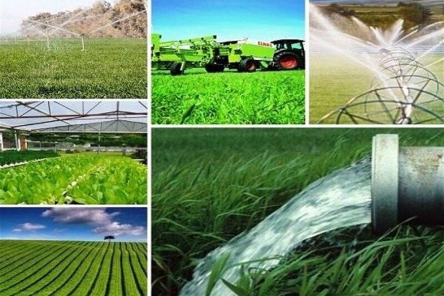 20 طرح کشاورزی در شهرستان های بانه و کامیاران به بهره برداری رسید