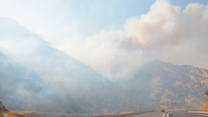 آتش سوزی در جنگل های استان های کردنشین بیتلیس و بینگل  و عدم دخالت دولت
