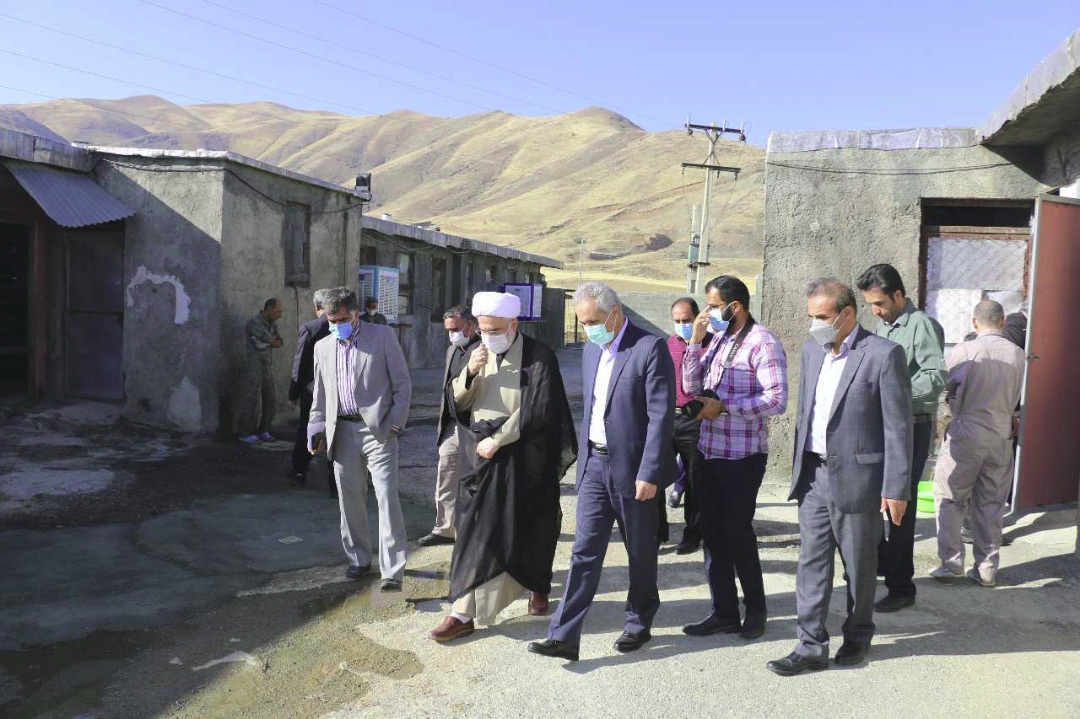 با حضور نماینده ولی فقیه در کردستان؛ 5 طرح بخش کشاورزی بازدید شد