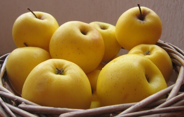 قیمت خرید تضمینی سیب صنعتی ۱۵۰۰ تومان تعیین شد