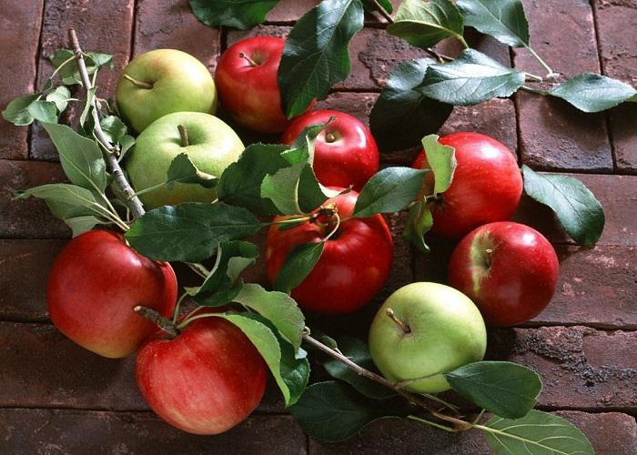 بکارگیری بازارياب های صادراتی برای افزایش صادرات سیب آذربایجان غربی