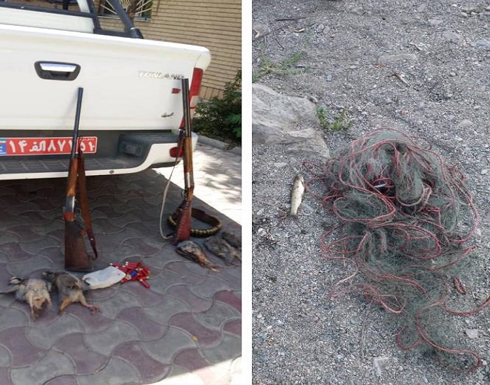 دستگیری 3 متخلف شکار و صید در شهرستان سقز