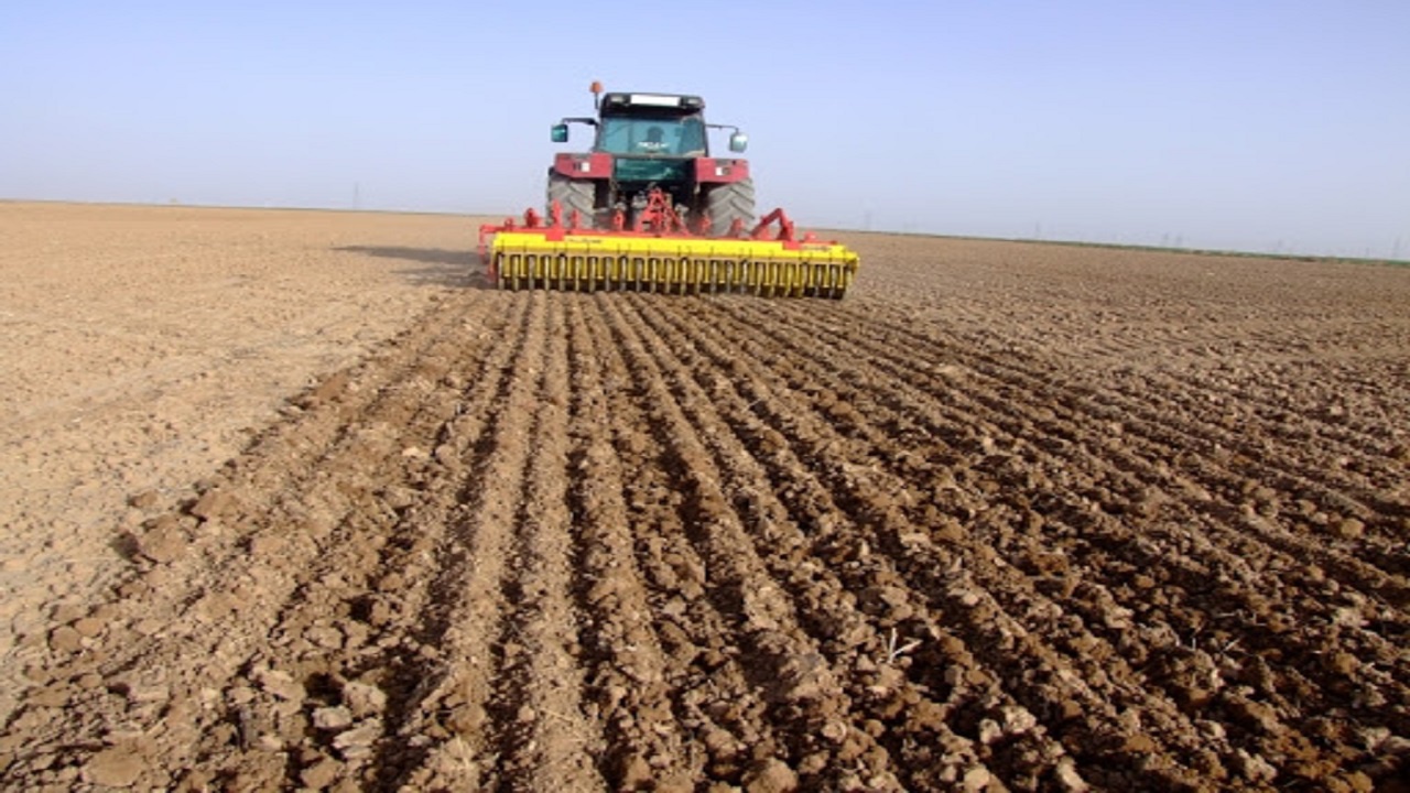 625 هزار هکتار از اراضی کشاورزی کردستان زیر کشت پاییزه می رود