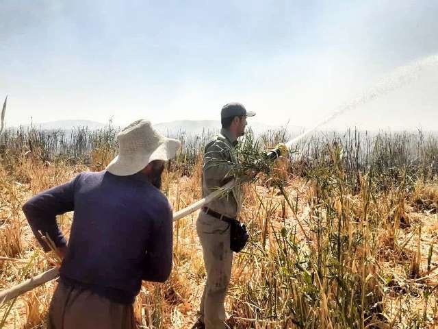 آتش ١٥ هکتار از مراتع مهاباد را خاکستر کرد