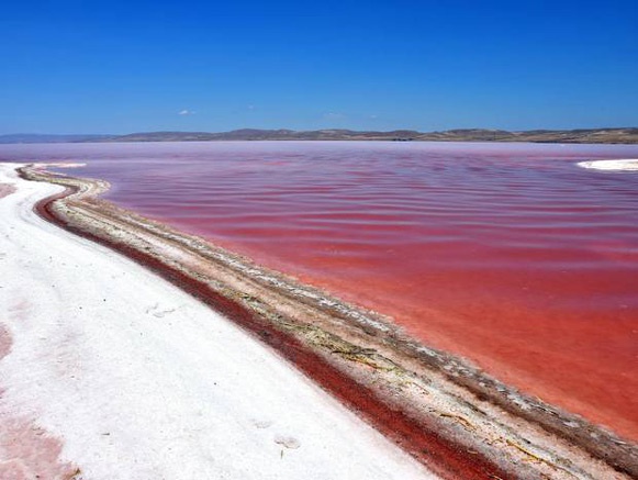 وسعت دریاچه ارومیه به هزار کیلومتر مربع کاهش یافت