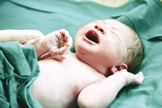ثبت بیش از 11 هزار واقعه ولادت در کردستان