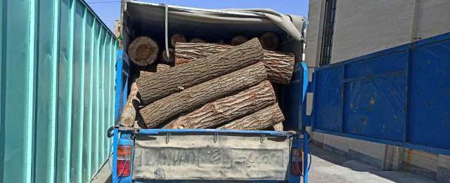 کشف ٢ تن چوب قاچاق در مهاباد