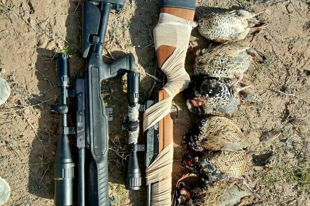 دستگیری قاچاقچی پرندگان شکاری در سنندج