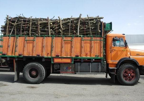 توقیف کامیون حامل ١٠ تن چوب  قاچاق جنگلی در مهاباد