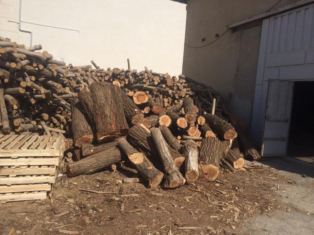 بزرگترین انبار چوب قاچاق آذربایجان غربی در مهاباد کشف شد