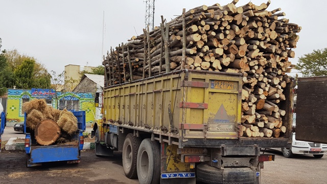حمل چوب درختان جنگلی در تمام ایران ممنوع است