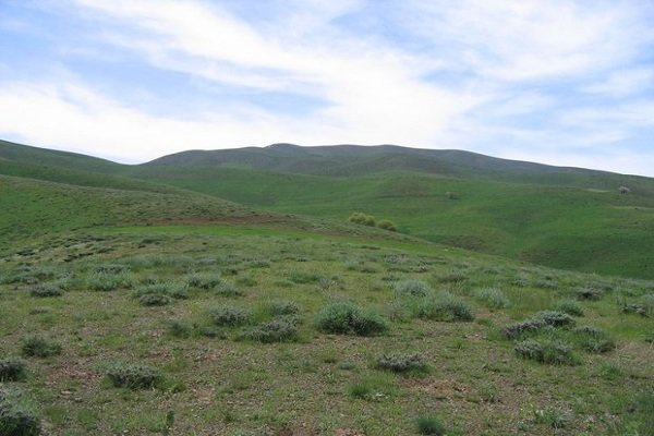 طرح ممیزی در ۹۸ درصد مراتع کردستان انجام شد