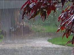 بارش باران در کردستان تا روز جمعه ادامه دارد
