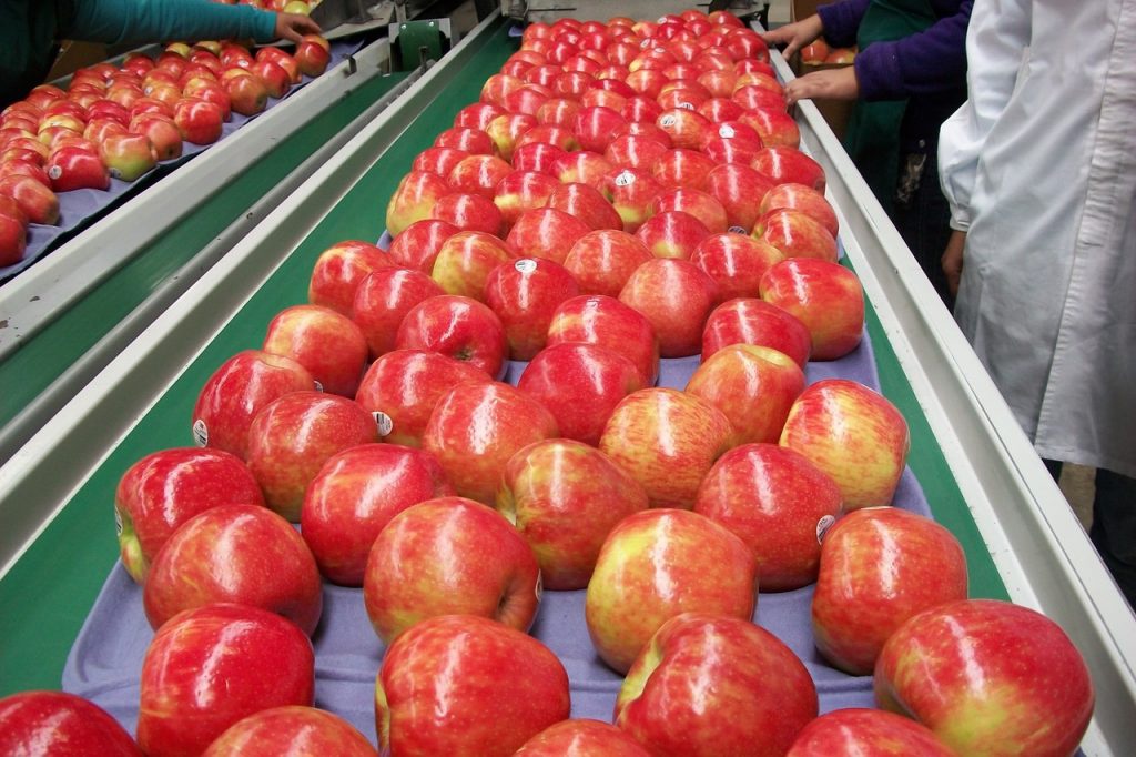 ضرورت ایجاد کمیته ساماندهی سیب در آذربایجان غربی/سیب‌ صنعتی تعیین تکلیف شود