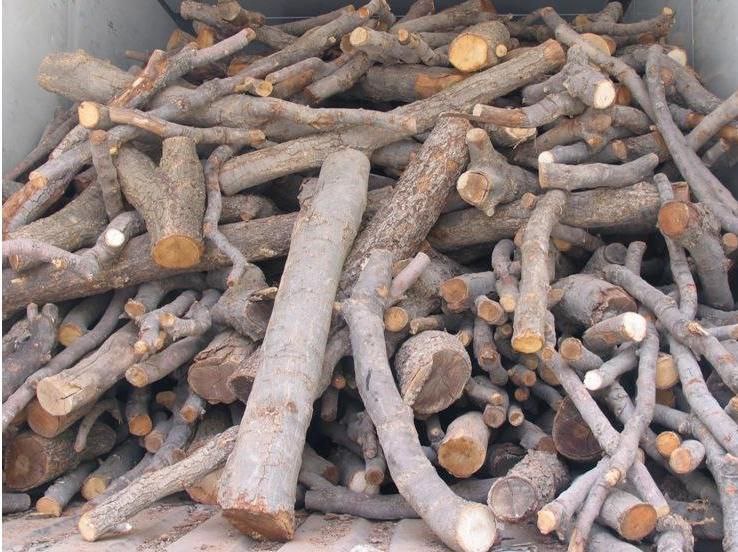 کشف 8 تن چوب قاچاق در روانسر