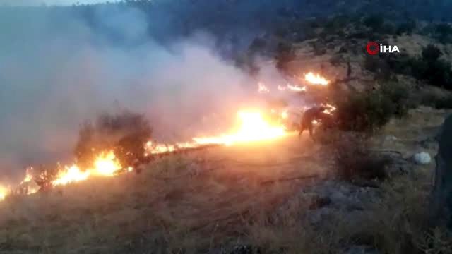 نیروهای نظامی ترکیه در 6 ماه گذشته 31 بار جنگل های شرناخ را آتش زدند