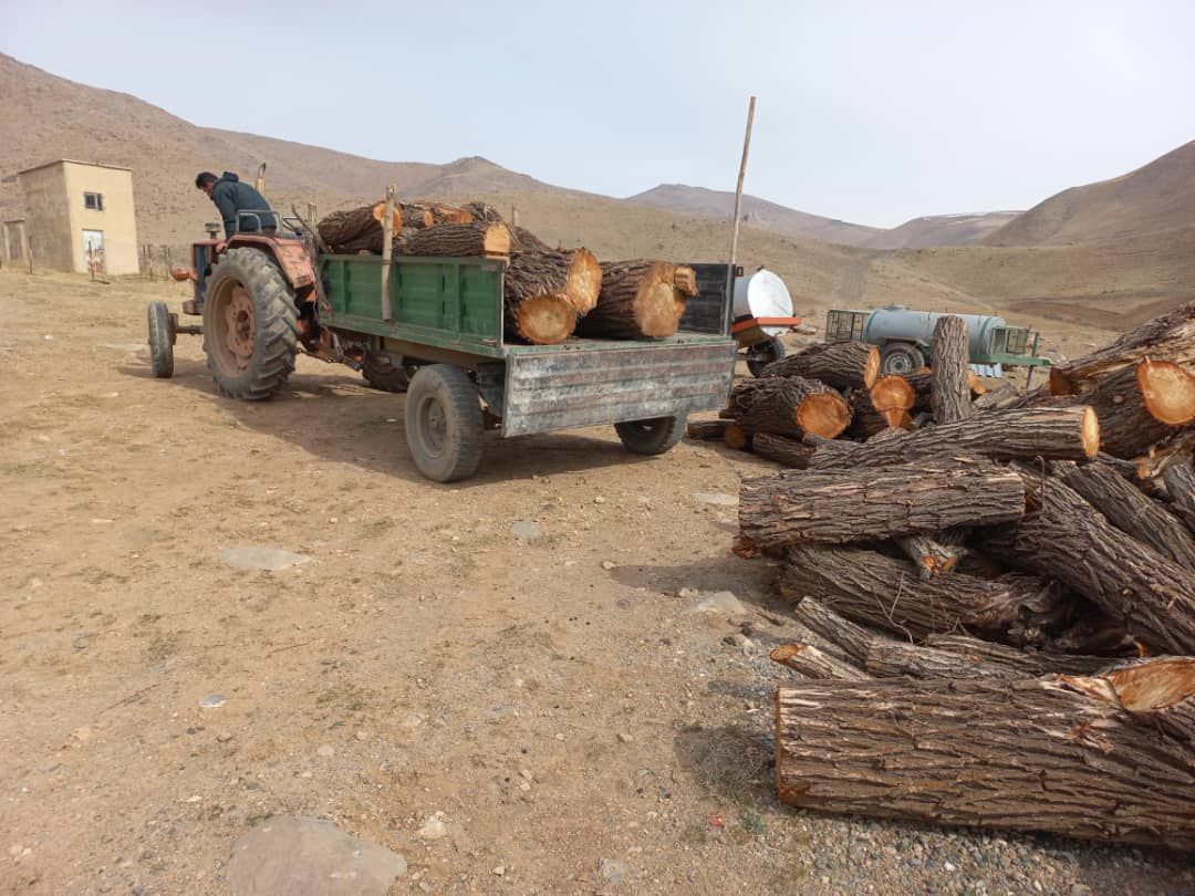 2 محموله قاچاق چوب در شهرستان سقز کشف شد