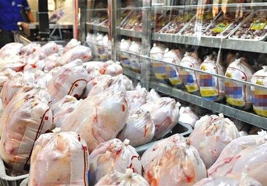 کاهش جوجه ریزی؛ بیماری طیور یا بهانه ایی برای افزایش قیمت مرغ!
