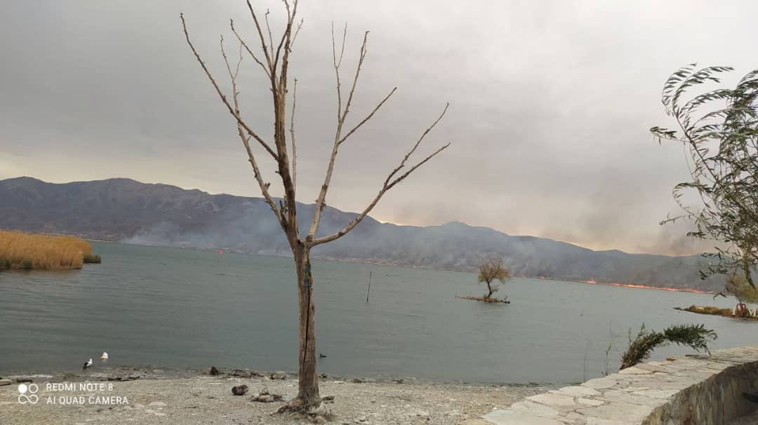 نیزارهای دریاچه زریوار مریوان دوباره به آتش کشیده شد