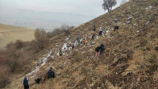 آغاز پویش مردمی بذرکاری اراضی جنگلی زاگرس در سردشت