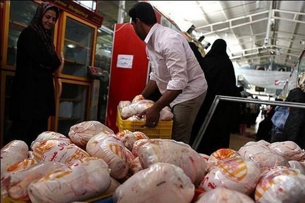 جهاد کشاورزی آذربایجان غربی: آرامش به بازار مرغ  باز می گردد