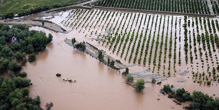 بخش کشاورزی آذربایجان غربی 14میلیارد تومان خسارت دید