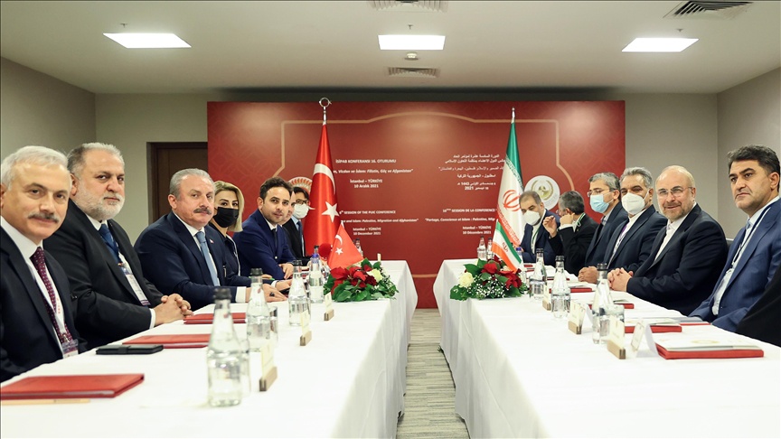 رؤسای مجالس ایران و ترکیه در استانبول دیدار کردند