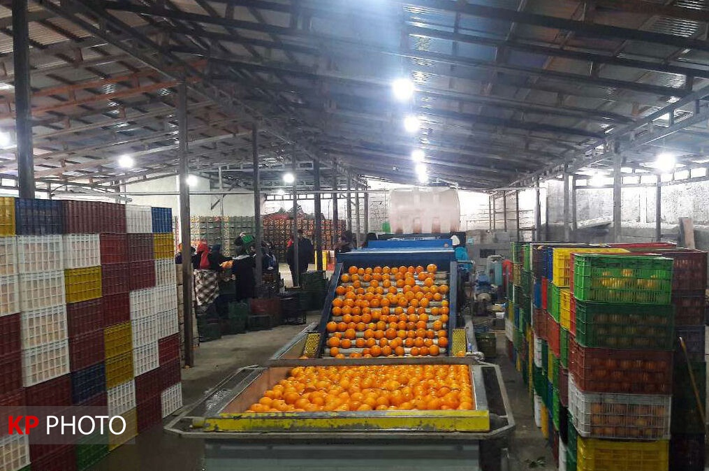 پایانه مرزی صادرات محصولات کشاورزی در کردستان راه اندازی می شود