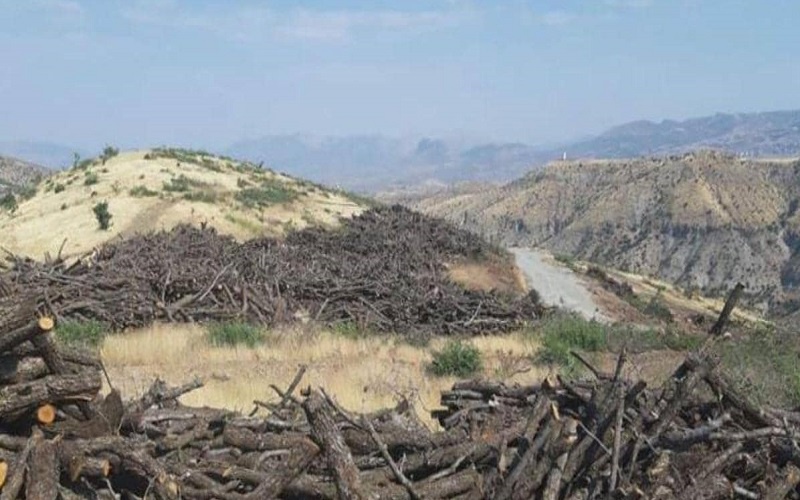 نابودی جنگل های اقلیم کردستان توسط ترکیه، تصمیم مشترک بغداد و اربیل است
